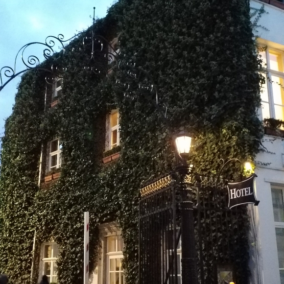 Meet your Posher, Sheila - Picture 1 of 16